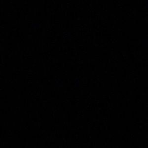 Meet your Posher, Brooklyn